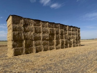 Good Quality Oaten Hay