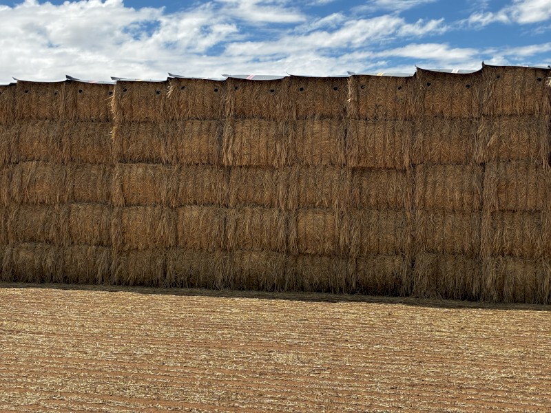 175mt Wheaten Hay 8x4x3 Bales