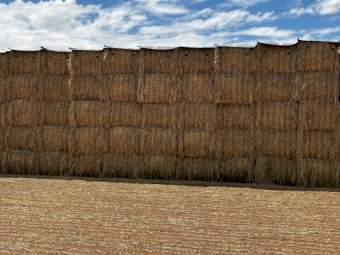 175mt Wheaten Hay 8x4x3 Bales