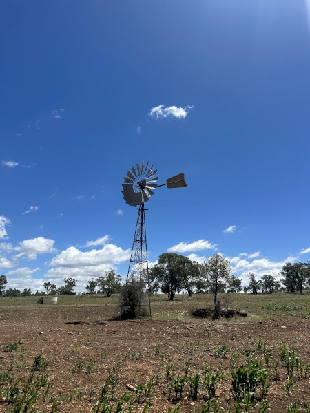 WINDMILL  SOUTHERN CROSS