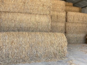190T Vetch Hay (25/26 season) 650kg 8x4x3 Bales