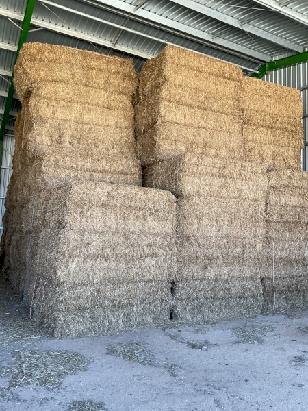 120mt Vetch Hay 700kg 8x4x3 Bales