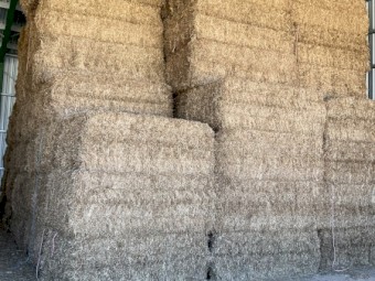 120mt Vetch Hay 700kg 8x4x3 Bales