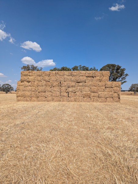 100mt Oaten/Rye/Clover Mix Hay 500-550kg 8x4x3 Bales
