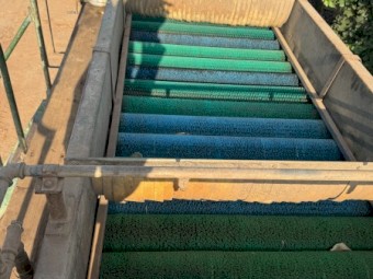 Fruit Hopper Washer Sizer