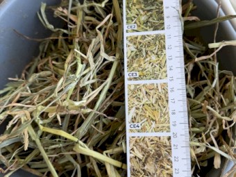 500mt Oaten Hay 8x4x3 Bales