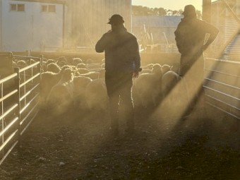 Summer Ram run out!