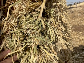 500mt Oaten Hay 550kg 8x4x3 Bales