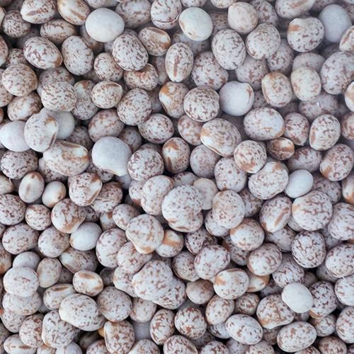 240mt Jurien Lupins
