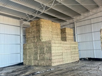 200mt Vetch/Pea Hay 8x4x3 Bales