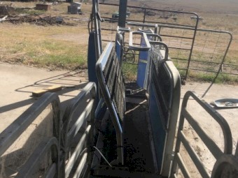 2019 Te Pari  Racewell HD4 Sheep Handler
