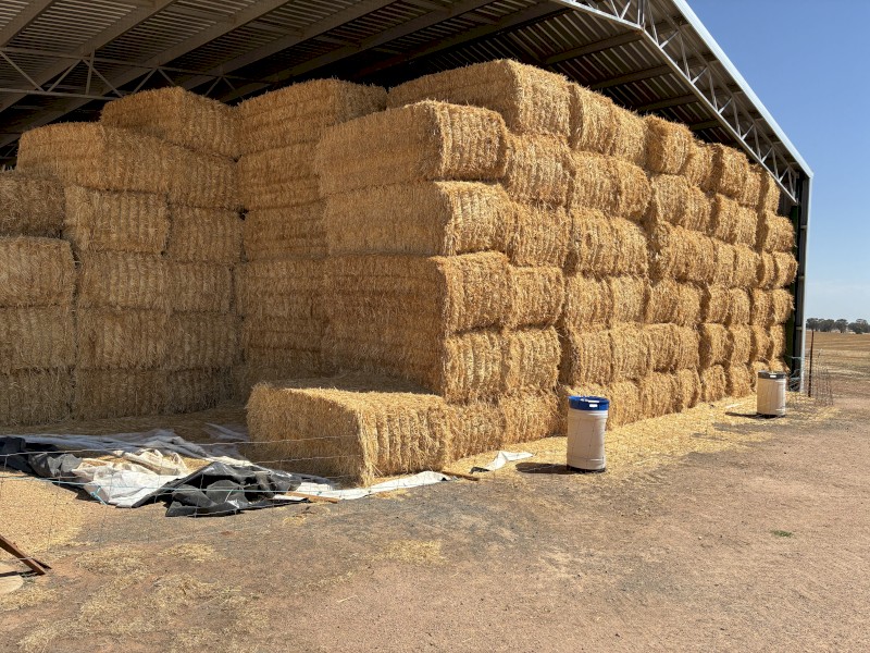 89mt Oaten Hay 680kg 8x4x3 Bales