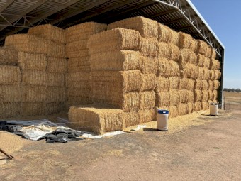 89mt Oaten Hay 680kg 8x4x3 Bales