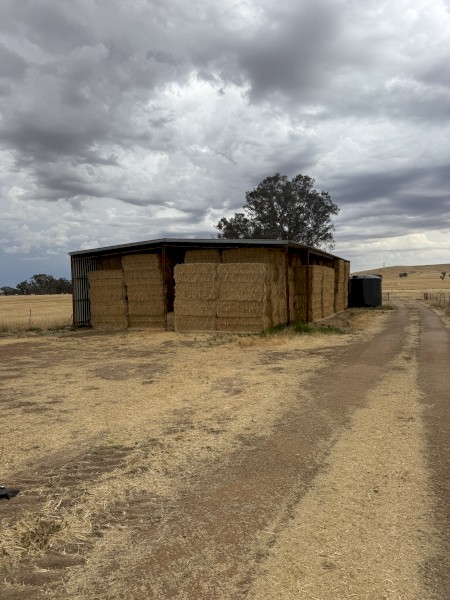 500mt Oaten Hay 525kg 8x4x3 bales