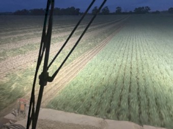 500mt Oaten Hay 525kg 8x4x3 bales