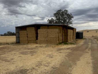 500mt Oaten Hay 525kg 8x4x3 bales