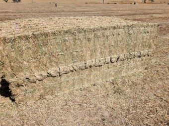 300mt Vetch Hay 8x4x3 Bales