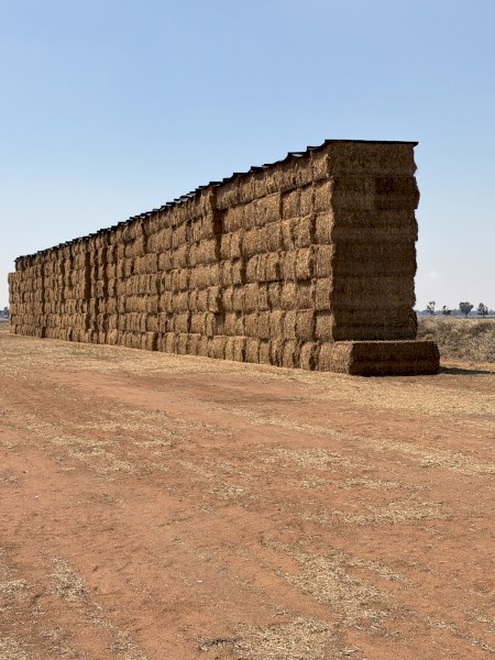 400mt Vetch Hay 8x4x3 Bales