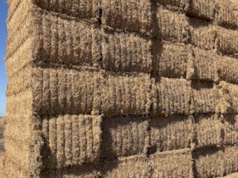400mt Vetch Hay 8x4x3 Bales