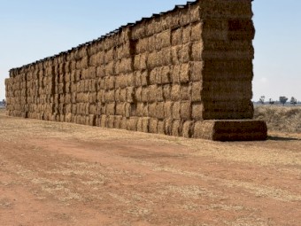 400mt Vetch Hay 8x4x3 Bales