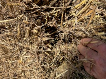 400mt Vetch Hay 8x4x3 Bales