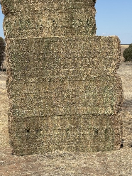 110mt Vetch Hay 600kg 8x4x3 Bales