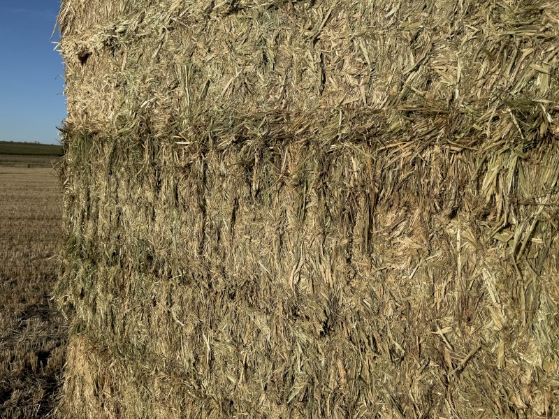 730mt Wheaten Hay 8x4x3 650kg Bales