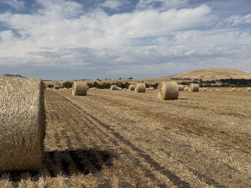 5x4 Oaten Hay Rolls. 