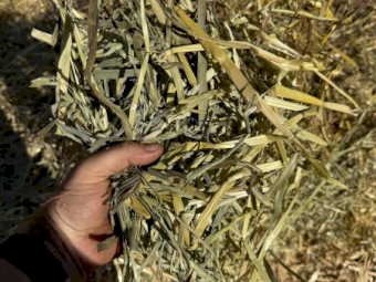 5x4 Oaten Hay Rolls. 