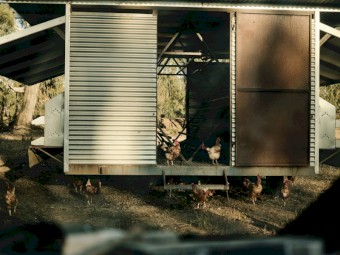 Mobile Egg Chicken Caravans 
