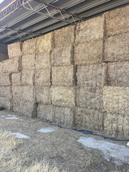 270mt Vetch Hay 600kg 8x4x3 Bales