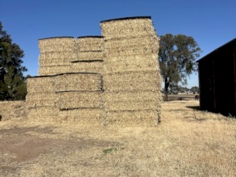 500mt Wheaten Hay 8x4x3 Bales