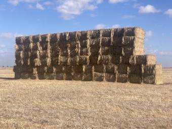 85mt Wheaten Hay 8x4x3 Bales