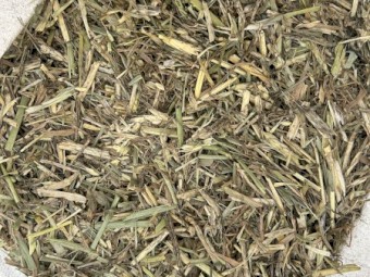 40mt Wheaten Hay 8x4x3 Bales