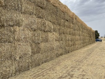 40mt Wheaten Hay 8x4x3 Bales