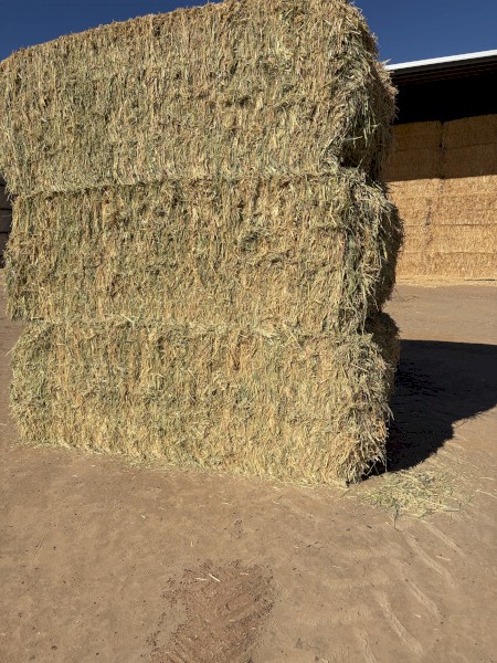 690MT Oaten Hay 8x4x3 Bales