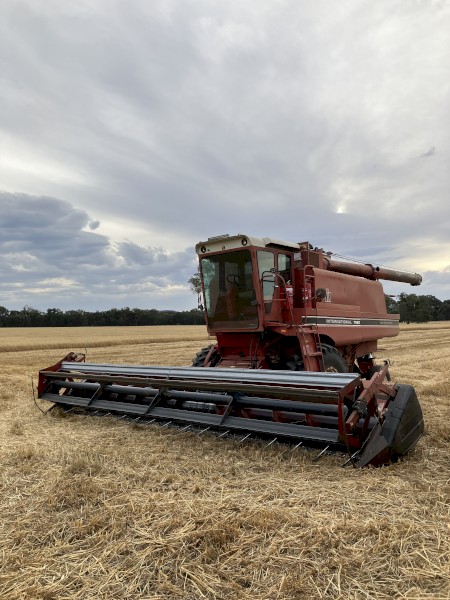 International 1460 Header