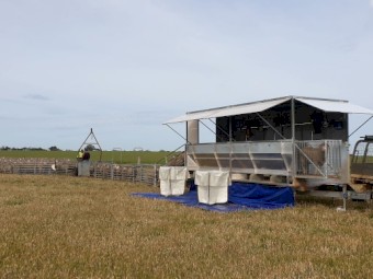 3 Stand Crutching Trailer