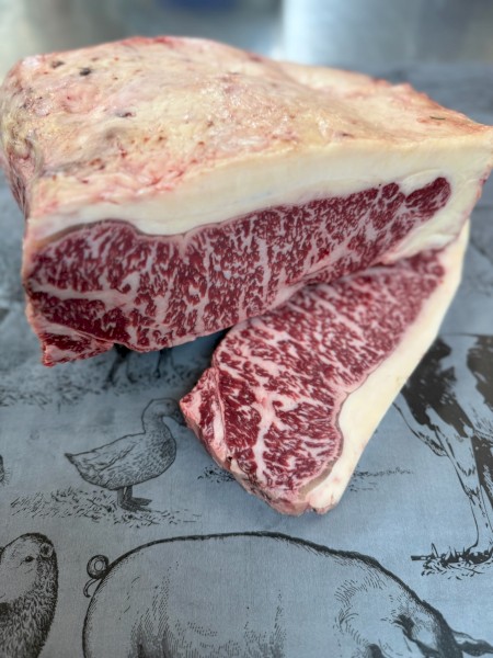 Full Blood Wagyu Steers price reduced