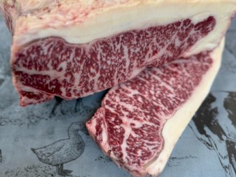 Full Blood Wagyu Steers price reduced