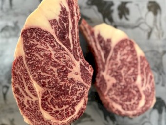 Full Blood Wagyu Steers price reduced