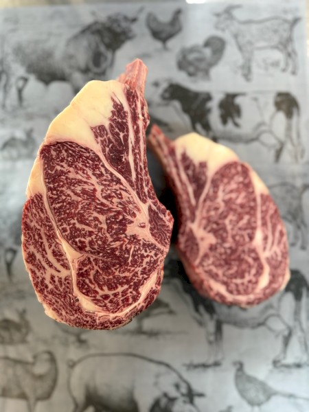 Full Blood Wagyu Steers reduced price