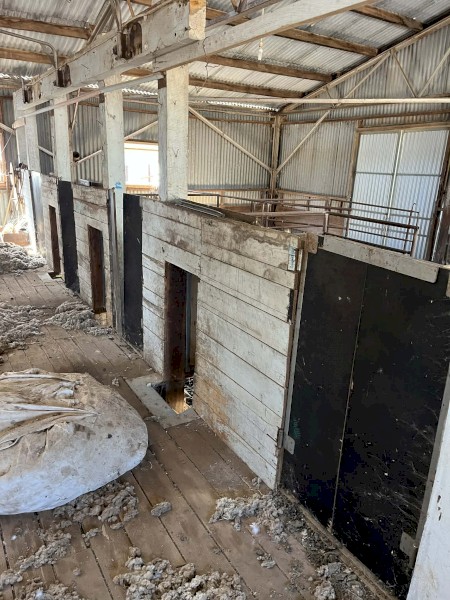 EOI 4 Stand Shed