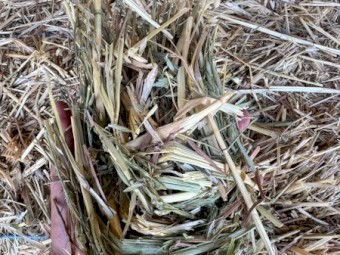1100mt Oaten Hay 8x4x3 Bales