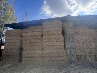 1100mt Oaten Hay 8x4x3 Bales
