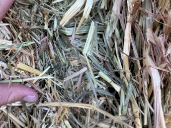 1100mt Oaten Hay 8x4x3 Bales