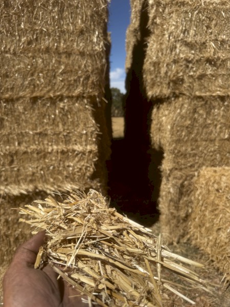 42mt Wheaten Straw 420kg 8x4x3 bales