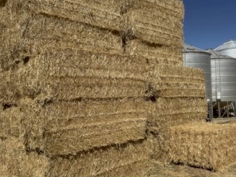 42mt Wheaten Straw 420kg 8x4x3 bales