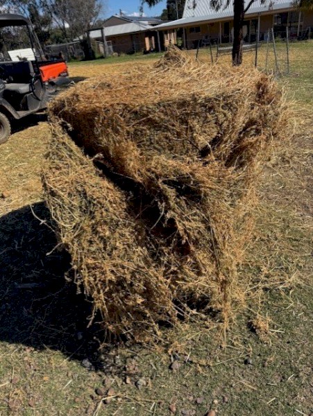 Lucerne Hay 4x4 Round Bales