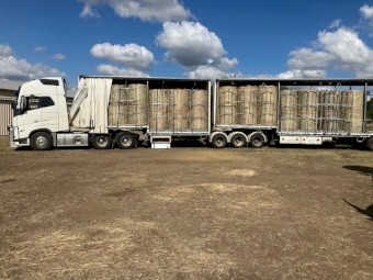Lucerne Hay 4x4 Round Bales